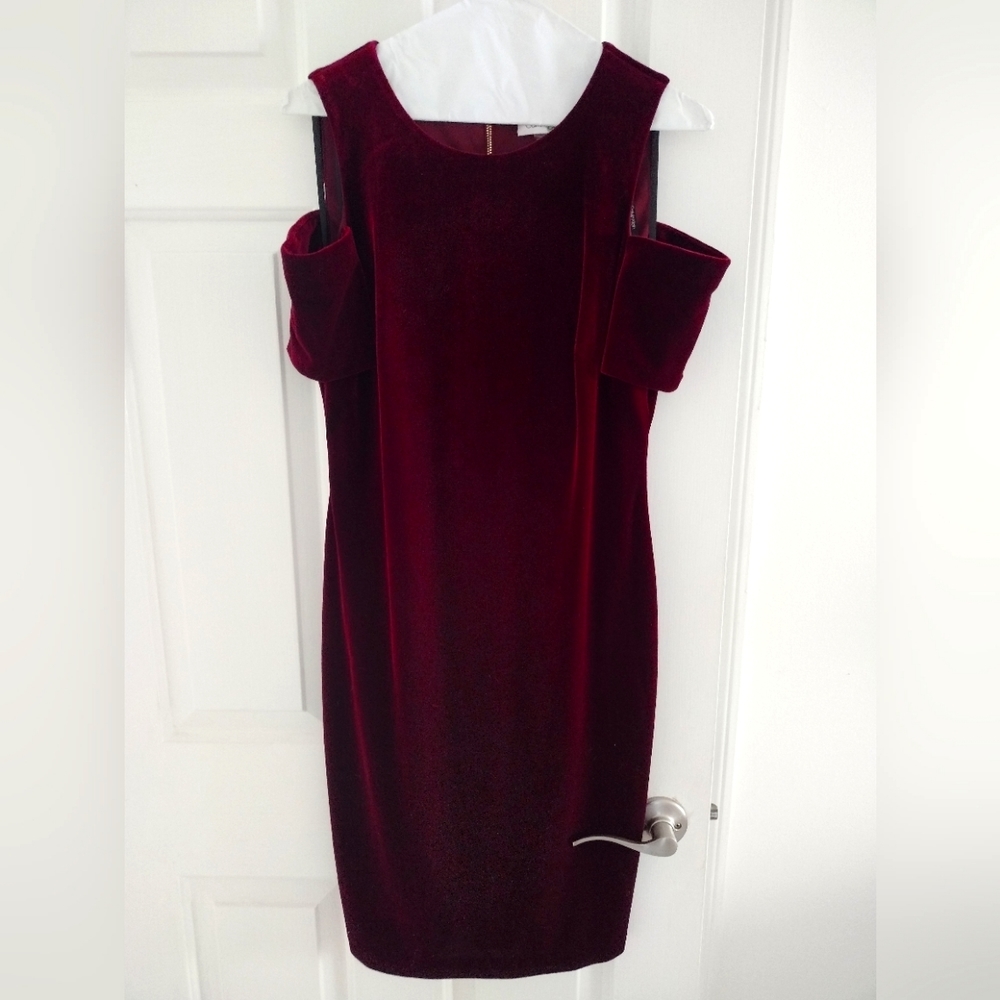 Calvin Klein Velvet Dress